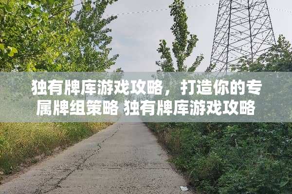 独有牌库游戏攻略，打造你的专属牌组策略 独有牌库游戏攻略