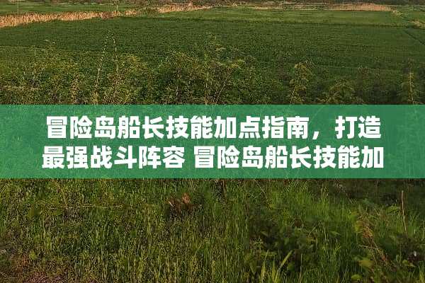 冒险岛船长技能加点指南，打造最强战斗阵容 冒险岛船长技能加点
