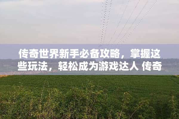 传奇世界新手必备攻略，掌握这些玩法，轻松成为游戏达人 传奇世界玩法攻略