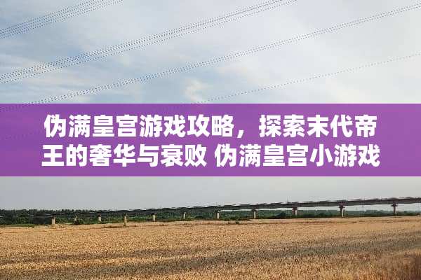 伪满皇宫游戏攻略，探索末代帝王的奢华与衰败 伪满皇宫小游戏攻略