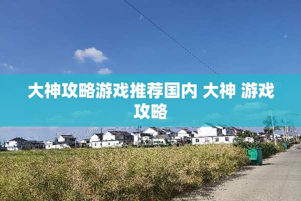 大神攻略游戏推荐国内 大神 游戏攻略