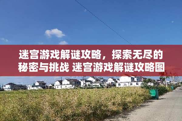 迷宫游戏解谜攻略，探索无尽的秘密与挑战 迷宫游戏解谜攻略图文