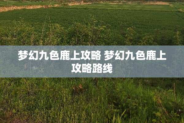 梦幻九色鹿上攻略 梦幻九色鹿上攻略路线