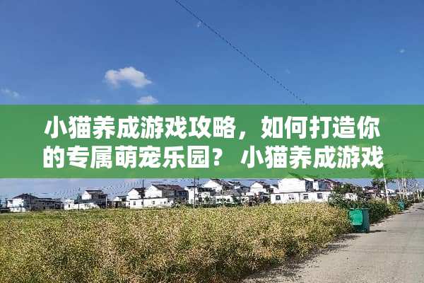 小猫养成游戏攻略，如何打造你的专属萌宠乐园？ 小猫养成游戏攻略