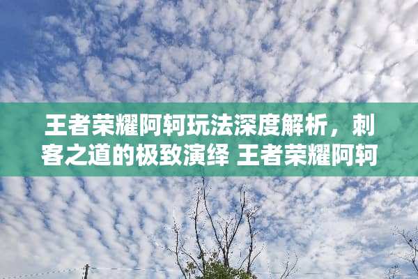 王者荣耀阿轲玩法深度解析，刺客之道的极致演绎 王者荣耀阿轲玩法解析