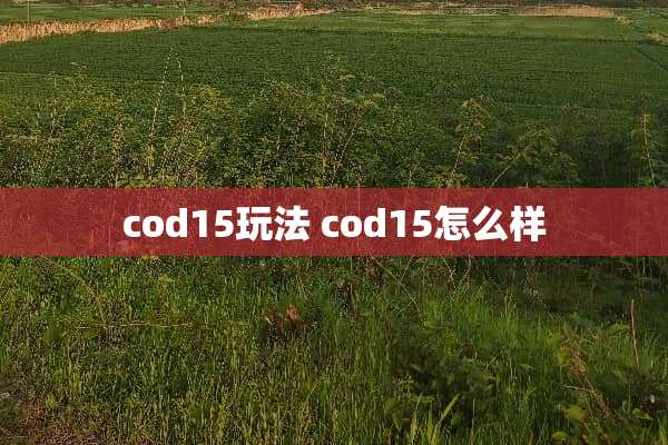cod15玩法 cod15怎么样