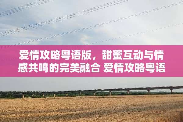 爱情攻略粤语版，甜蜜互动与情感共鸣的完美融合 爱情攻略粤语版