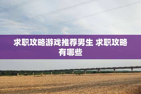 求职攻略游戏推荐男生 求职攻略有哪些