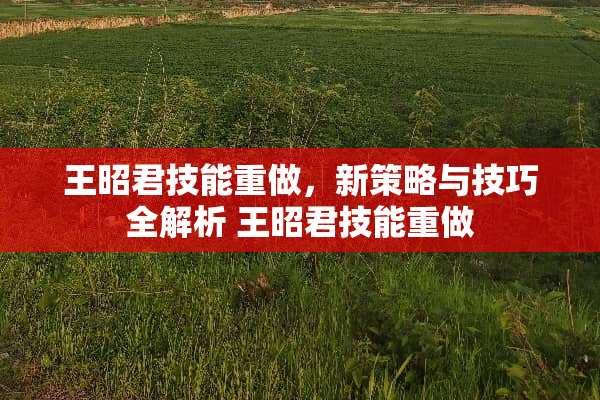王昭君技能重做，新策略与技巧全解析 王昭君技能重做