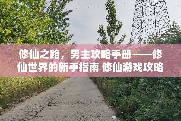 修仙之路，男主攻略手册——修仙世界的新手指南 修仙游戏攻略男主