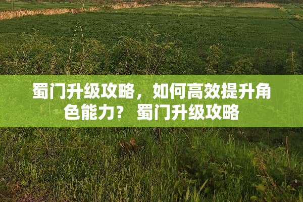 蜀门升级攻略，如何高效提升角色能力？ 蜀门升级攻略