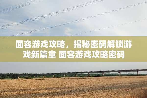 面容游戏攻略，揭秘密码解锁游戏新篇章 面容游戏攻略密码
