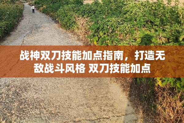 战神双刀技能加点指南，打造无敌战斗风格 双刀技能加点