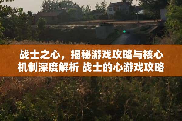 战士之心，揭秘游戏攻略与核心机制深度解析 战士的心游戏攻略