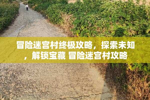 冒险迷宫村终极攻略，探索未知，解锁宝藏 冒险迷宫村攻略