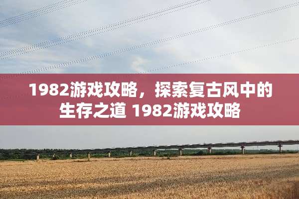 1982游戏攻略，探索复古风中的生存之道 1982游戏攻略
