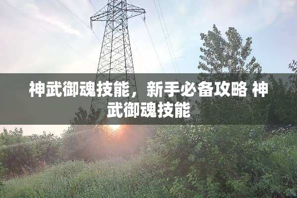 神武御魂技能，新手必备攻略 神武御魂技能