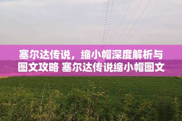 塞尔达传说，缩小帽深度解析与图文攻略 塞尔达传说缩小帽图文攻略