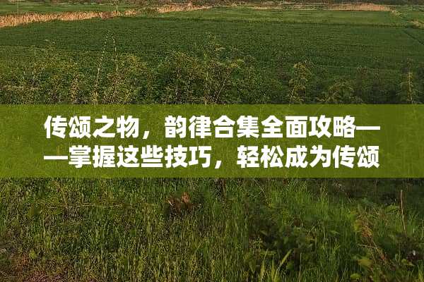 传颂之物，韵律合集全面攻略——掌握这些技巧，轻松成为传颂之王！ 传颂之物攻略