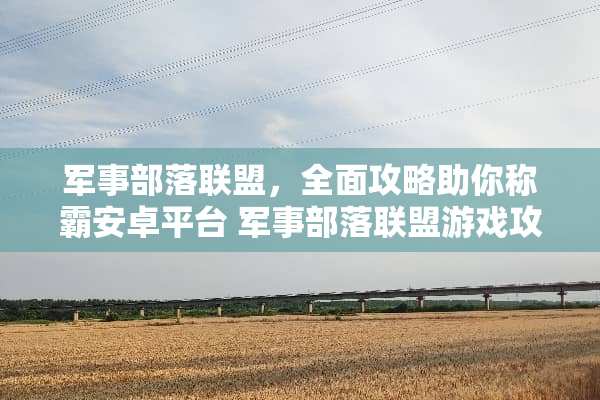 军事部落联盟，全面攻略助你称霸安卓平台 军事部落联盟游戏攻略