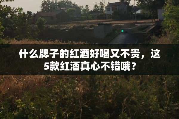什么牌子的红酒好喝又不贵，这5款红酒真心不错哦？
