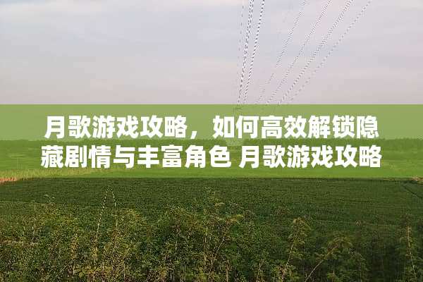 月歌游戏攻略，如何高效解锁隐藏剧情与丰富角色 月歌游戏攻略