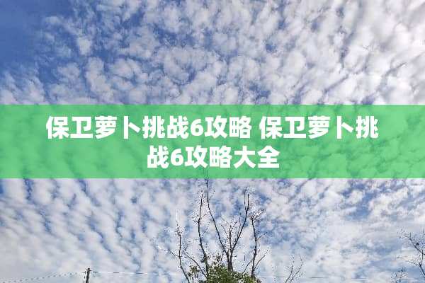 保卫萝卜挑战6攻略 保卫萝卜挑战6攻略大全