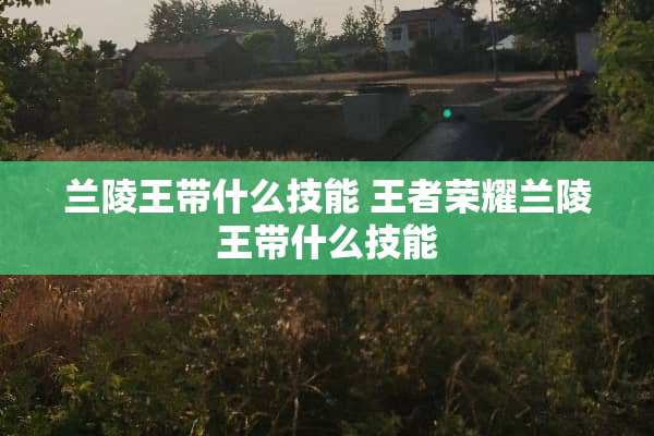 兰陵王带什么技能 王者荣耀兰陵王带什么技能