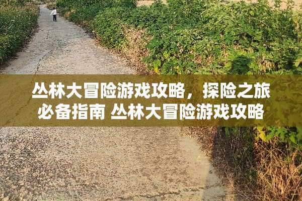 丛林大冒险游戏攻略，探险之旅必备指南 丛林大冒险游戏攻略