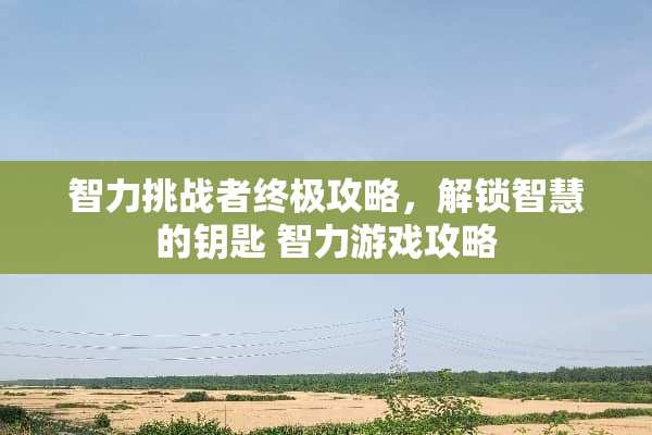 智力挑战者终极攻略，解锁智慧的钥匙 智力游戏攻略