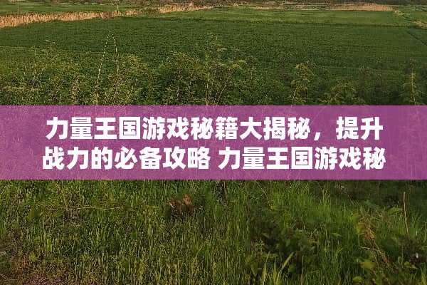 力量王国游戏秘籍大揭秘，提升战力的必备攻略 力量王国游戏秘籍攻略