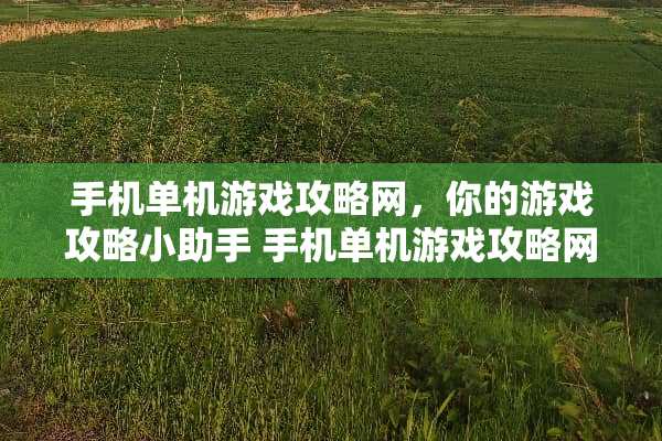 手机单机游戏攻略网，你的游戏攻略小助手 手机单机游戏攻略网