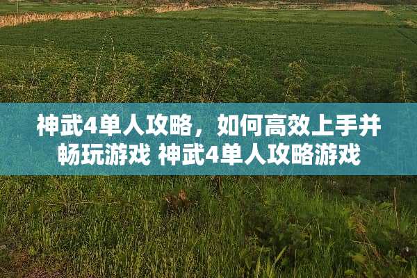 神武4单人攻略，如何高效上手并畅玩游戏 神武4单人攻略游戏