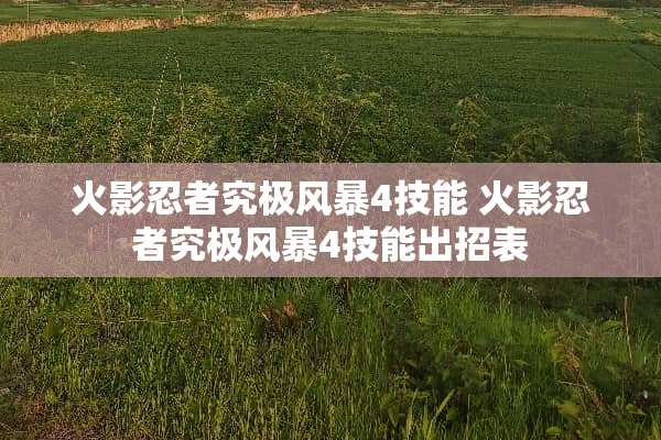 火影忍者究极风暴4技能 火影忍者究极风暴4技能出招表