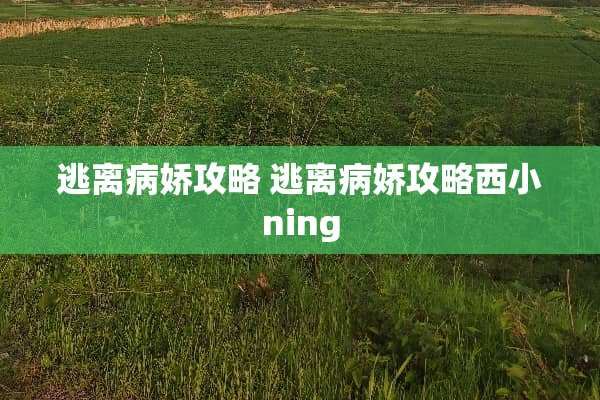 逃离病娇攻略 逃离病娇攻略西小ning