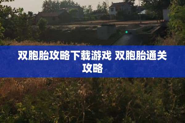 双胞胎攻略下载游戏 双胞胎通关攻略