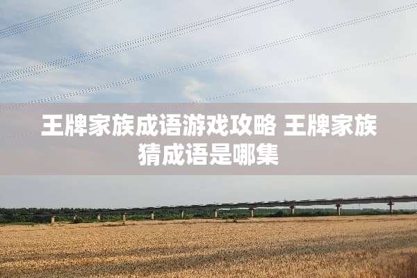 王牌家族成语游戏攻略 王牌家族猜成语是哪集
