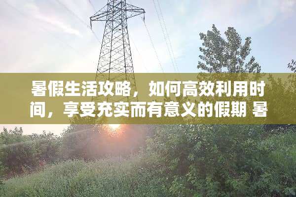 暑假生活攻略，如何高效利用时间，享受充实而有意义的假期 暑假生活攻略