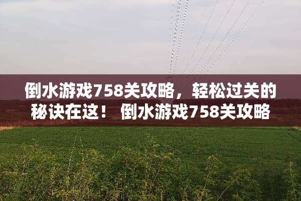 倒水游戏758关攻略，轻松过关的秘诀在这！ 倒水游戏758关攻略