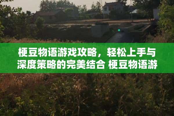 梗豆物语游戏攻略，轻松上手与深度策略的完美结合 梗豆物语游戏攻略