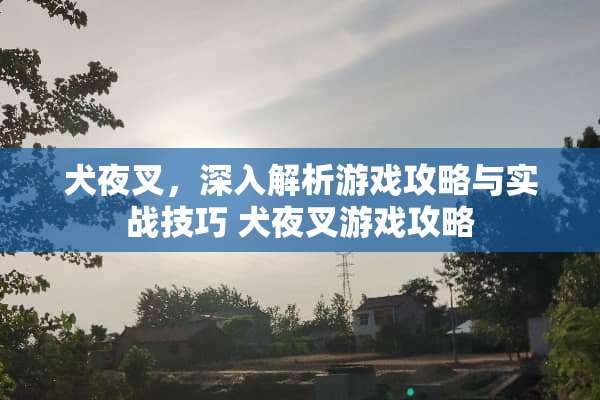 犬夜叉，深入解析游戏攻略与实战技巧 犬夜叉游戏攻略