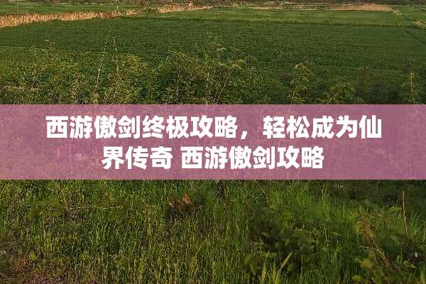 西游傲剑终极攻略，轻松成为仙界传奇 西游傲剑攻略