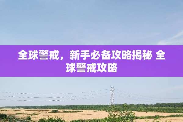 全球警戒，新手必备攻略揭秘 全球警戒攻略