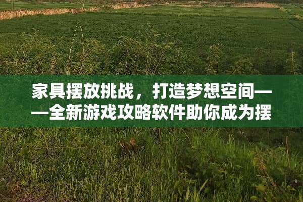 家具摆放挑战，打造梦想空间——全新游戏攻略软件助你成为摆放大师 摆家具游戏攻略软件