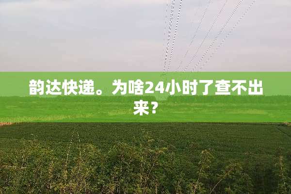 韵达快递。为啥24小时了查不出来？
