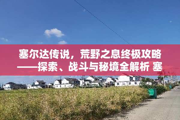 塞尔达传说，荒野之息终极攻略——探索、战斗与秘境全解析 塞尔达传说攻略