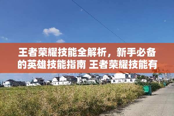 王者荣耀技能全解析，新手必备的英雄技能指南 王者荣耀技能有哪些