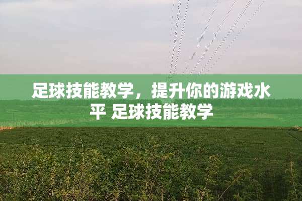 **技能教学，提升你的游戏水平 **技能教学