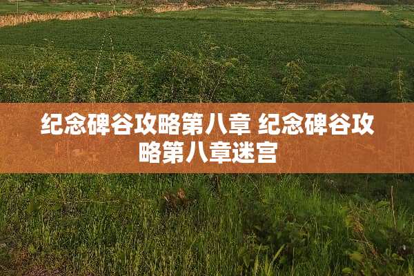 纪念碑谷攻略第八章 纪念碑谷攻略第八章迷宫