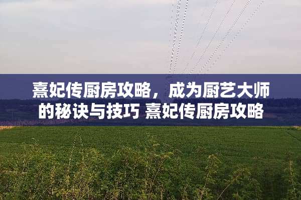熹妃传厨房攻略，成为厨艺大师的秘诀与技巧 熹妃传厨房攻略